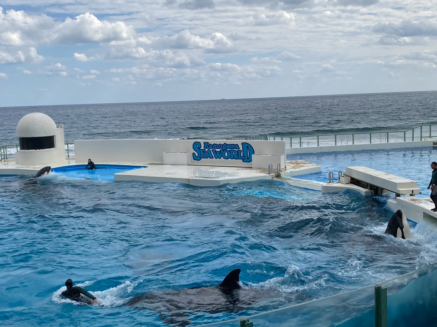 日本唯一シャチが3頭いる水族館　鴨川シーワールド